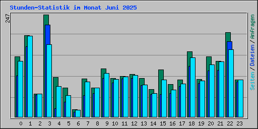 Stunden-Statistik im Monat Juni 2025