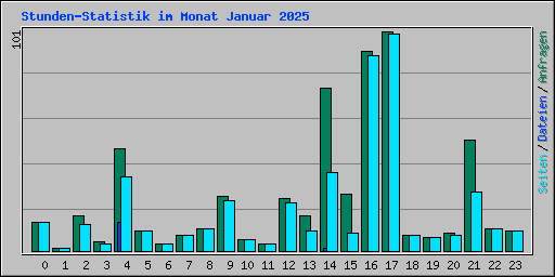 Stunden-Statistik im Monat Januar 2025