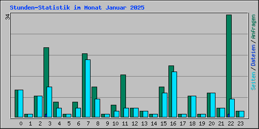 Stunden-Statistik im Monat Januar 2025