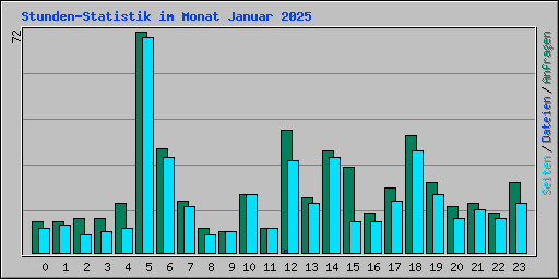 Stunden-Statistik im Monat Januar 2025