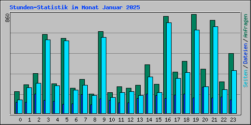 Stunden-Statistik im Monat Januar 2025