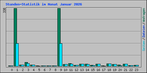 Stunden-Statistik im Monat Januar 2026