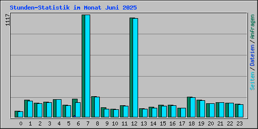 Stunden-Statistik im Monat Juni 2025