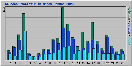 Stunden-Statistik im Monat Januar 2026