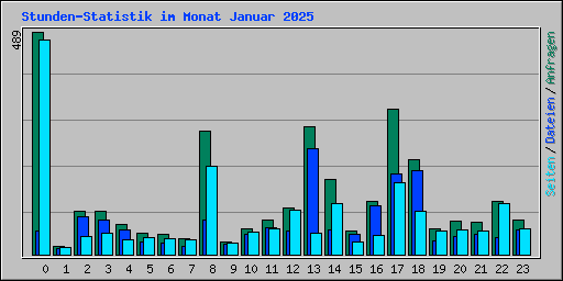 Stunden-Statistik im Monat Januar 2025