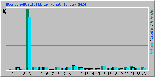 Stunden-Statistik im Monat Januar 2026