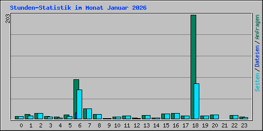 Stunden-Statistik im Monat Januar 2026